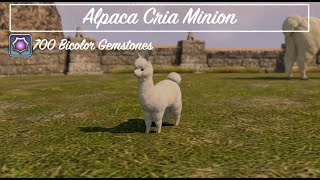 Final Fantasy XIV  Alpaca Cria Minion [upl. by Addie]