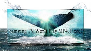 Samsung TV Wont Play MP4 Fixed [upl. by Sally]