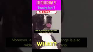 Did You Know Dogs Hear What We Can’t 🐶👂 shorts facts [upl. by Nostrebor223]