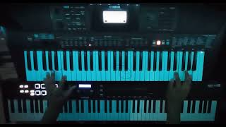 Rammstein  Du Riechst So Gut Keyboard Cover [upl. by Leonore]