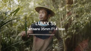 Its about Nature of Rattan Lumix S5 7artisans 35mm F14 M Mount [upl. by Lehcin]