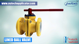 Lined Ball Check Valve Diaphragm Manufacturer [upl. by Wiltz760]