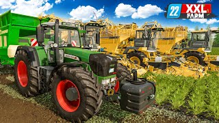 LS22 Beginn der XXLRübenernte  XXL Farm 2 1  FARMING SIMULATOR 22 [upl. by Tuddor]