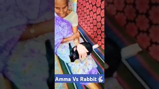 my new family member Mukku 🐇🐰funny shorts 😂 😂 trending minivlogs shorts short video [upl. by Hanny]