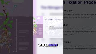 The Nitrogen Cycle Explained [upl. by Huei]