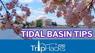 Tips for Visiting the Tidal Basin Cherry Blossoms 🌸 Washington DC [upl. by Ajim]