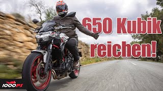 Mehr braucht es nicht Test der Kawasaki Z650 2023  Rückbesinnung auf das Wesentliche [upl. by Hailey]