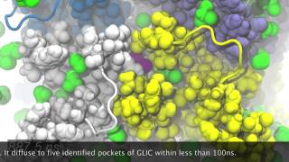 MD simulation of the Ion Channel GLIC Bromoform Binding [upl. by Aziaf]