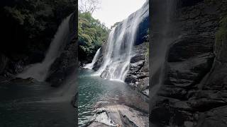 Waterfall 🌿travel nature srilanka [upl. by Assilam]