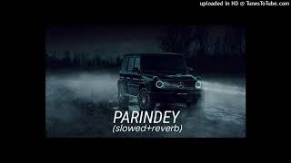 Parindey Slowed  Reverb  B Praak  Gippy Grewal  Sargun Mehta  Roopi Gill  Avvy Sra [upl. by Divadnoj]