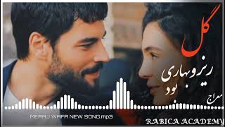 Meraj Wafa Gul Rez O Bahari Bod New Song 2022  معراج وفا، گل ریزو بهاری بود جدید [upl. by Seuqcaj2]