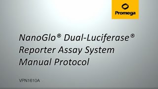 NanoGlo® DualLuciferase® Reporter Assay System Manual Protocol [upl. by Ardekal810]