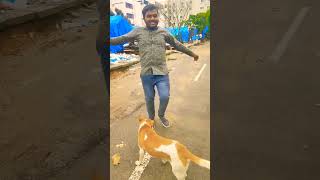 Patar Tiriyakhesari lal yadavshorts video viral 🌧️😍 [upl. by Brandenburg]