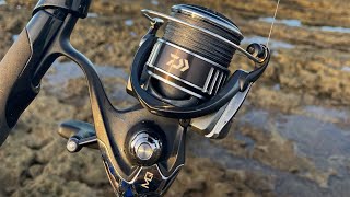 REVIEW MOLINETE DAIWA BG MQ 4000 [upl. by Nylarac]