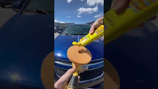 Why Detailers Still Use Carnauba Wax and Why You Should Too [upl. by Aloisia]