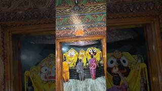 Sri Jagannath Sandhya Arati Darshan sanatandharma vishnu jagannath viralvideo [upl. by Leonerd]