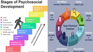 Erik Eriksons Stages of Psychosocial Development [upl. by Anayhd]