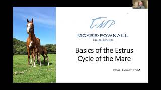 Dr Gomez Webinar Part 1 Basics of the Estrus Cycle [upl. by Hettie]