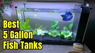 Best 5 Gallon Fish Tanks  Setup ideas amp Review [upl. by Nonnaihr]