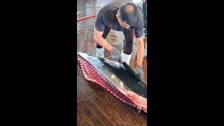 Amazing Bluefin Tuna Cutting [upl. by Deth]