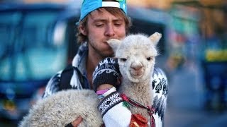 Baby Alpacas in Peru Ch 15 [upl. by Flight223]