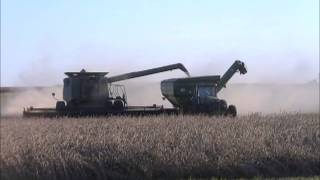 KLEIN FARMS LIBERTY IN HARVESTING SOYBEANS OCT 11 2013 [upl. by Noirod]