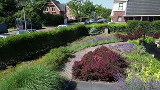 Jotterpad in Huizen  Meer dan zomaar een tuin  de Alliantie [upl. by Eenaffit]