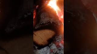 Wood Stove At Work Burning amp Smoldering Log 11302024 [upl. by Idhem]