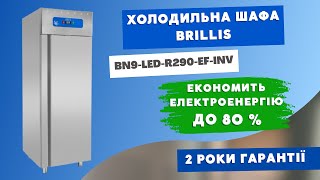 Холодильна шафа однодверна BN9LEDR290EFINV економить до 80 електроенергії [upl. by Wymore210]