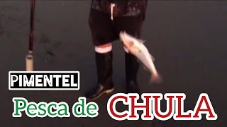 Pesca de chula o viña en Chiclayo  playa de Pimentel pesca de orilla en pleamar 🎣 [upl. by Dong]