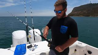 Yellowfin Tuna Tricks amp Tips  YellowfinTunaTactics [upl. by Ab53]