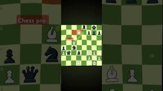 Magnus carlsen brilliant move chessgrandmaster chessplayer chessgame viralshort chess proedit [upl. by Salisbury]