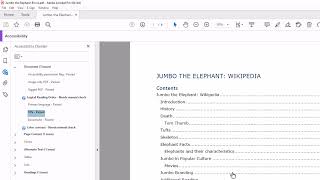 PDF Accessibility Basic Remediation [upl. by Ueik]