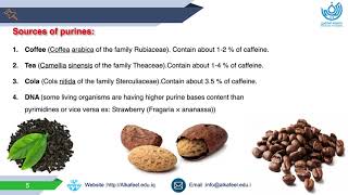 Pharmacognosy Lab Lecture  Purine bases  شرح [upl. by Lidah]