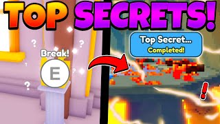 11 SECRETS YOU DID NOT KNOW in Pet Simulator X SECRET CAT WORLD UPDATE Roblox [upl. by Lepine]