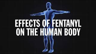 Science Behind Addiction Fentanyl [upl. by Tripp440]