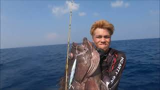 Fishing grouper is easy with slow jiggingTokayo X slow jigging lllSG trailer [upl. by Scarlett]