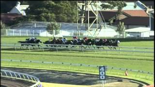 2006  Doncaster Handicap  Racing To Win [upl. by Chrystel]