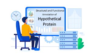 In Silico Structural and Functional Annotation of Hypothetical Protein Full Project Bangla Tutorial [upl. by Selinski]