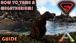 ARK HOW TO TAME A MEGATHERIUM 2020  EVERYTHING YOU NEED TO KNOW ABOUT TAMING A MEGATHERIUM [upl. by Otha]