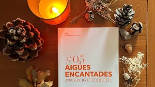 Comentari 📙Aigües encantades Joan Puig i Ferreter 1907 [upl. by Heidt]