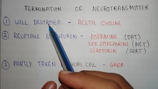 Neurotransmitters post junctional activity  termination of neurotransmitter pharmacology [upl. by Andrey]