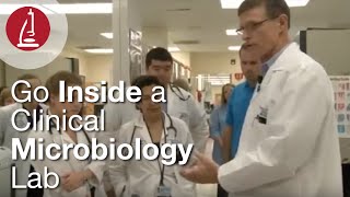 Go Inside a Clinical Microbiology Lab [upl. by Nabois]