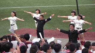 2017年東京六大学秋季リーグ戦特集対東大戦 早稲田快勝！サンライズ・スパークリングマーチ・魁編 [upl. by Higgs]