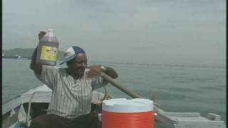 Pure Bulk Syrup Boat 45 sec Ad [upl. by Arerrac]