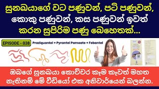 ඔබේ සුනඛයාගේ ශරීරයේ පණුවන් ඉවත් කිරීමේ වැදගත්කම වසරකට කී වතාවක් එය සිදුකළ යුතුද   Deworm medicine [upl. by Adnoel]