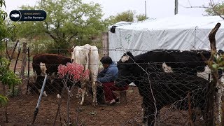 74 Estancias y Tradiciones capitulo Los Dos Hermanos [upl. by Norda]