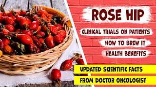 Rose hip great natural sourсe of vitamins and antioxidants Health benefits and clinical trials [upl. by Sillihp]