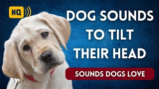 Dog Sounds to Make Them Tilt Their Head 🐕 Sounds Dogs Love [upl. by Macomber]