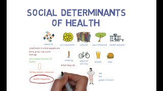 What Makes Us Healthy Understanding the Social Determinants of Health [upl. by Eselehs362]